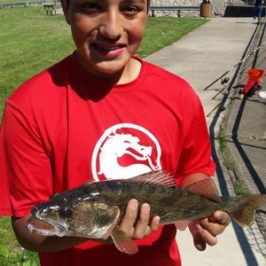 Meet your Posher, Arturo